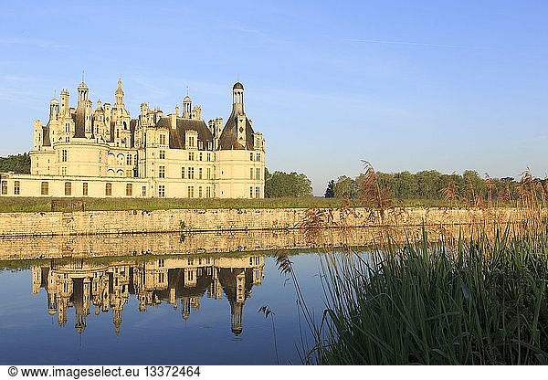 France  Indre et Loire  Loire Valley  listed as World Heritage by UNESCO  Chambord castle