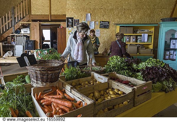 France  Indre et Loire  Loire valley listed as World Heritage by UNESCO  Fondettes  la petite fève organic producer  Direct sale at the farm