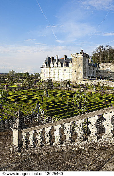 France  Indre et Loire  Loire Valley  listed as World Heritage by UNESCO  Villandry  Chateau de Villandry Gardens  property of Henri and Angelique Carvallo