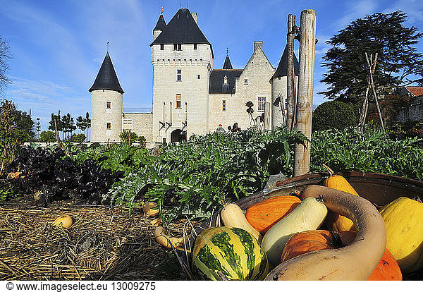 France  Indre et Loire  Rivau Castle near Lemere village and Chinon city