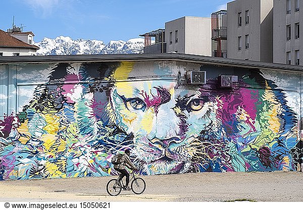 France  Isere  Grenoble  Bouchayer-Viallet district  Esplanade Andry Farcy  the Lion of the Grenoble artists  Srek  Greg and Will  fresco created during the Grenoble Street-Art Fest 2015