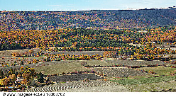 France  Landscape in autumn near Sault and Mont Ventoux in background