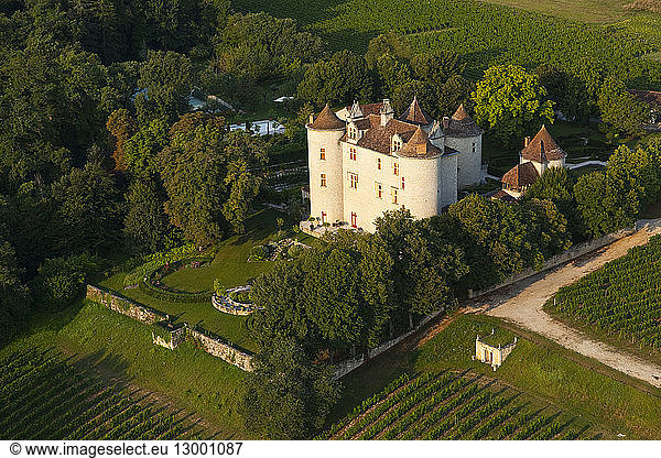 France  Lot  Quercy  Vallee du Lot  Mas de Laroque  Chateau de Lagrezette and its vineyard (aerial view)