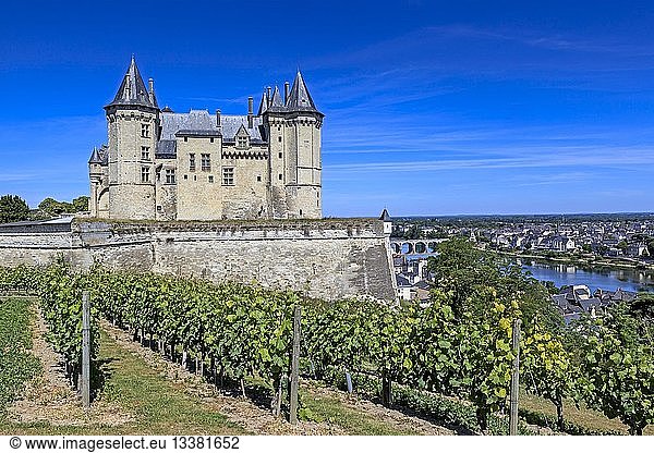 France  Maine et Loire  Loire Valley listed as World Heritage by UNESCO  the castle of Saumur and its vineyard