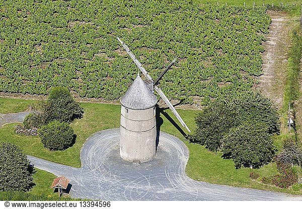 France  Maine et Loire  Tillieres  Guillou windmill (aerial view)