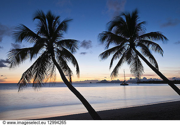 France  Martinique (French West Indies)  Grande Anse des Salines  sunset on the beach
