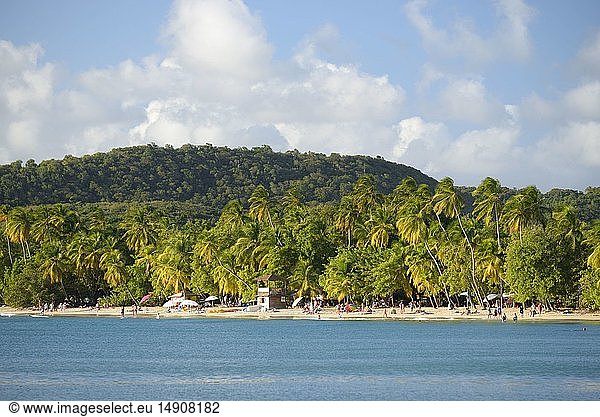 France  Martinique (French West Indies)  Sainte Anne  beach of the Salines at the end of the afternoon