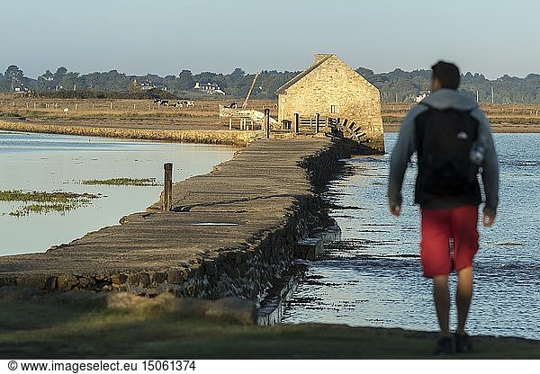 France  Morbihan  Arz island  walker near Berno tide mill