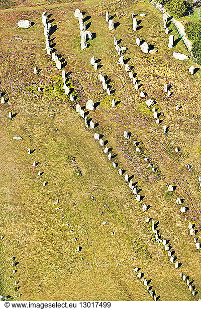 France  Morbihan  Carnac  Kermario Megalithic alignments (aerial view)