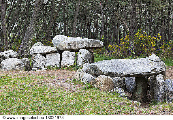 France  Morbihan  Carnac  Mane Kerioned Dolmens  Megalithic monument