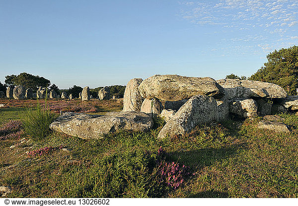 France  Morbihan  Carnac  row of megalithic standing stones at Kermario