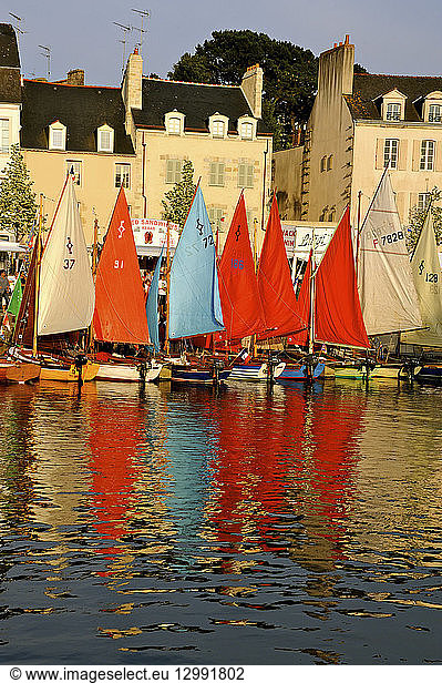 France  Morbihan  Golfe du Morbihan  Vannes  the harbour  during the Semaine du Golfe (the Gulf Week) from May 30 to June 5  2011