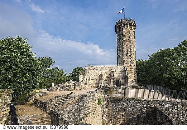France  Moselle  Forbach  Schlossberg castle  fortified castle built in the 11th or 12th century  Schlossberg tower  built in 1891  symbol of the city