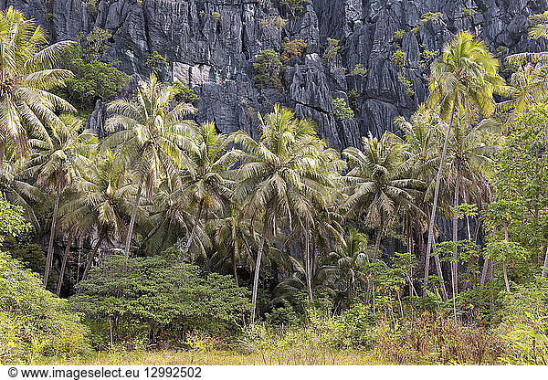 France  New Caledonia  Grande Terre  isle of Pines  Linderalique black rocks