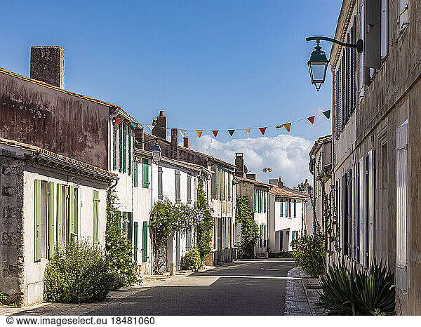 France  Nouvelle-Aquitaine  Ars-en-Re  Rustic lane in summer