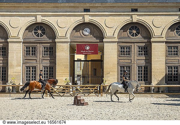 France  Oise  Chantilly  Chantilly Castle  the Great Stables  training horses in the carousel
