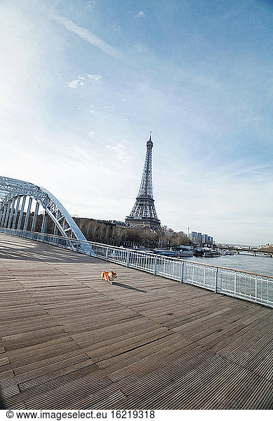 France  paris  Pesserelle Debilly and Eiffel Tower
