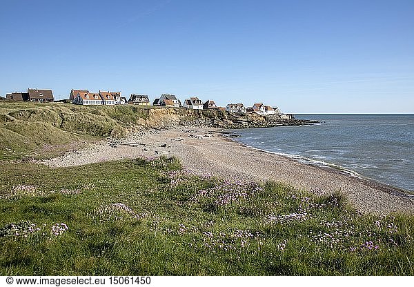 France  Pas de Calais  Audresselles  beach of pointe du nid de Corbet