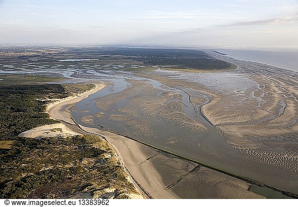 France  Pas de Calais  Berck sur Mer  authie Bay at low tide (aerial view)