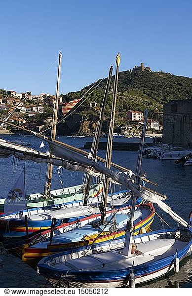 France  Pyrenees Orientales  Collioure  Catalan boats