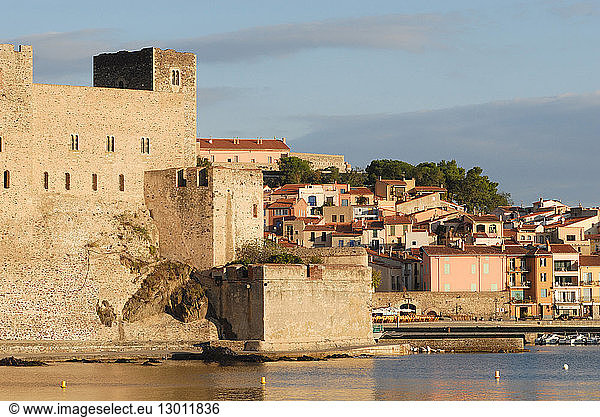 France  Pyrenees Orientales  Collioure  royal castle of 13th to 18th century and the church of Our Lady of the Angels  17th century