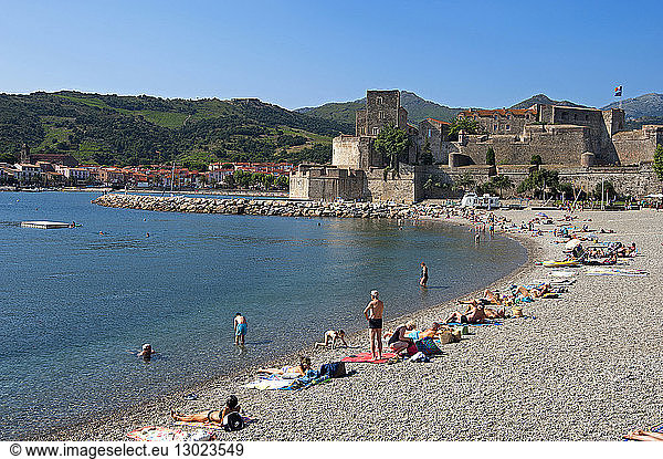 France  Pyrenees Orientales  Cote vermeille  Collioure  the Boramar beach and the Royal Castle
