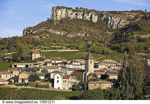 France  Saone et Loire  Maconnais vineyards  Solutre Pouilly village at the foot of Roche de Solutre