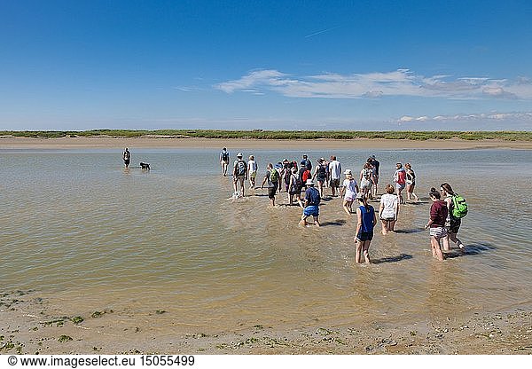 France  Somme  Baie de Somme  Saint Valery sur Somme  Group of tourists visiting the bay