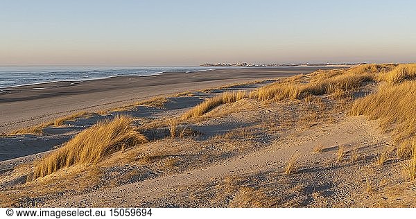 France Somme Bay of Authie Fort-Mahon the dunes of Marquenterre south of the bay of Authie Berck-sur-mer in the background
