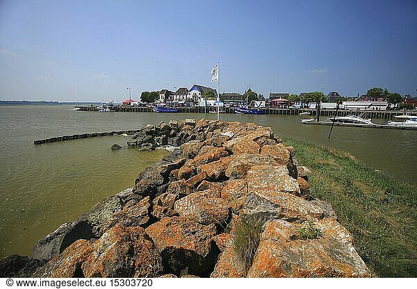 France  Somme  Le Crotoy  in the Baie de Somme