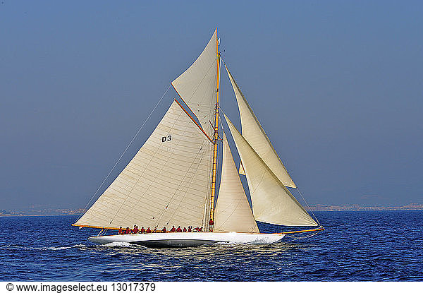 France  Var  Saint Tropez  Les Voiles de Saint Tropez meet every year in late September of classic yachts competing in regattas  here Tuiga gaff cutter  built in 1909 and owned by Monaco