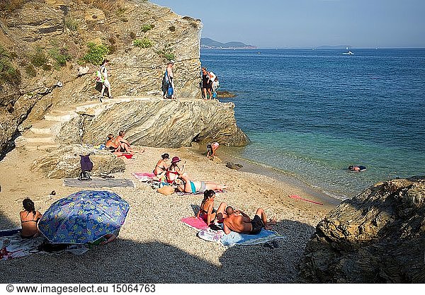 France  Var (83) Toulon  Miter beach