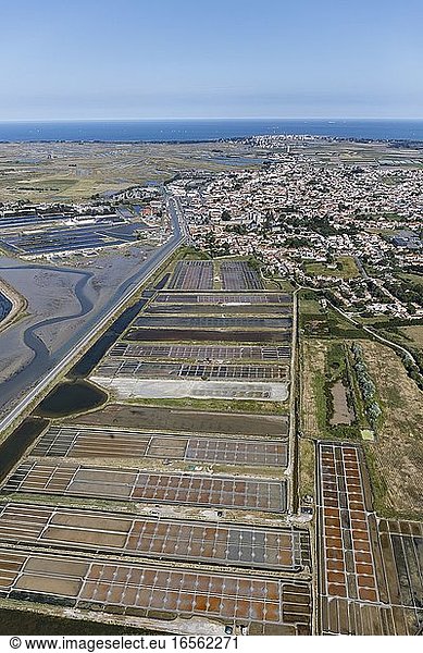 France  Vendee  Noirmoutier en l'Ile  the town and the salt marshes (aerial view)