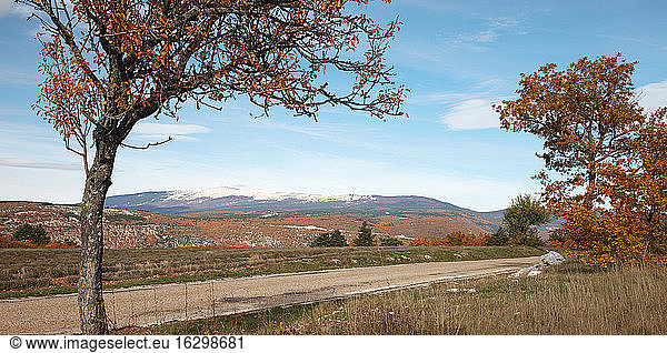 France  View of Mont Ventoux in autumn