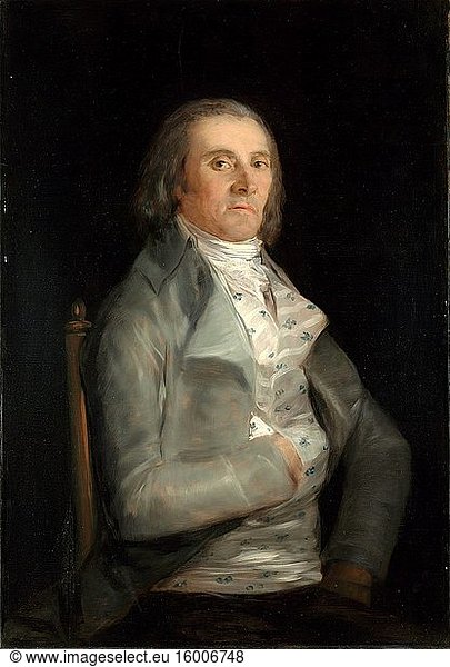 Francisco De Goya - Don Andres Del Peral.