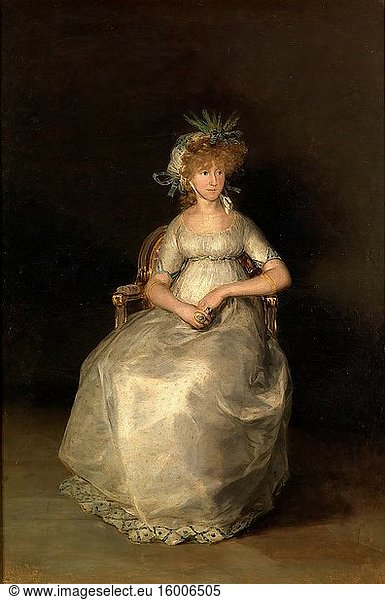 Francisco De Goya - the Countess of Chinchin.