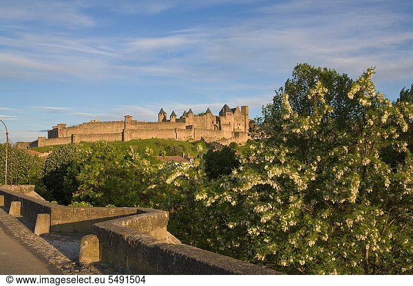 Frankreich  Aude  Carcassonne