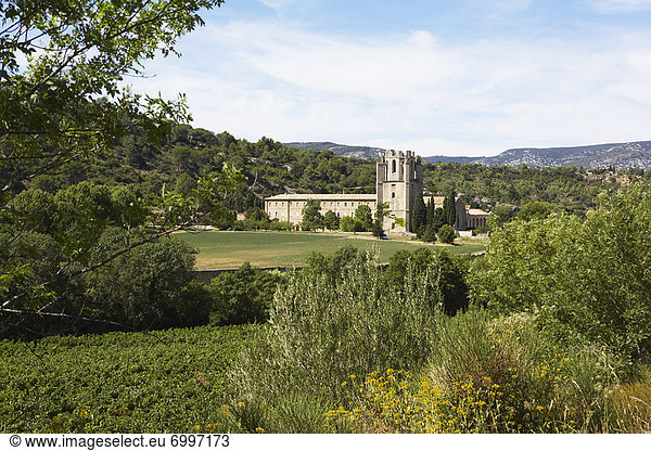 Frankreich  Aude  Lagrasse  Languedoc-Roussillon