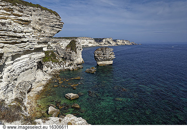 Frankreich  Corse-du-Sud  Bonifacio  Blick auf die Kreidefelsen an der Küste