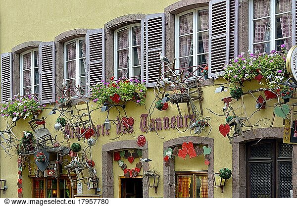 Frankreich  Elsaß  Colmar  Innenstadt  Altstadt  Störche am Fenster  Europa