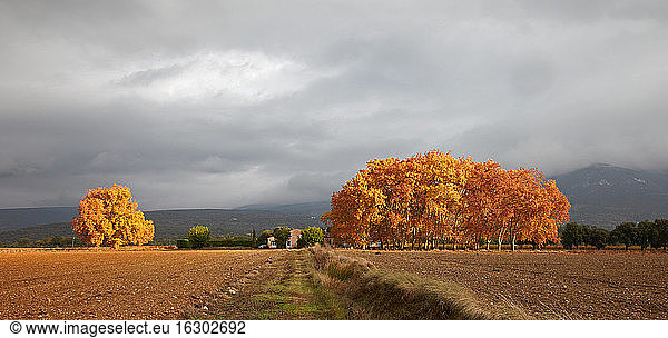 Frankreich  Herbst in Rustrel