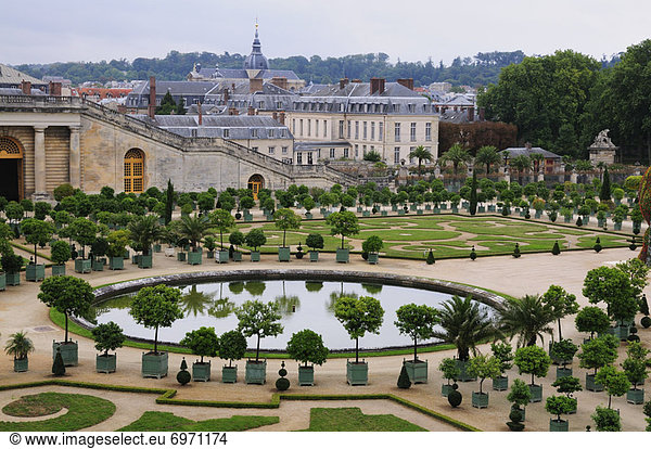 Frankreich  Ile-de-France  Orangerie  Versailles