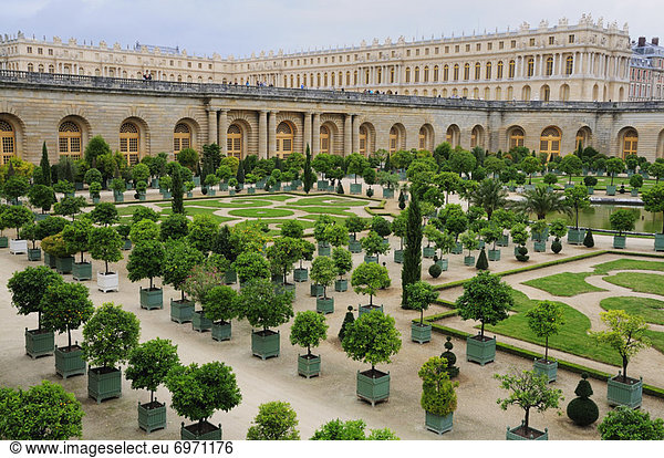 Frankreich  Ile-de-France  Orangerie  Versailles