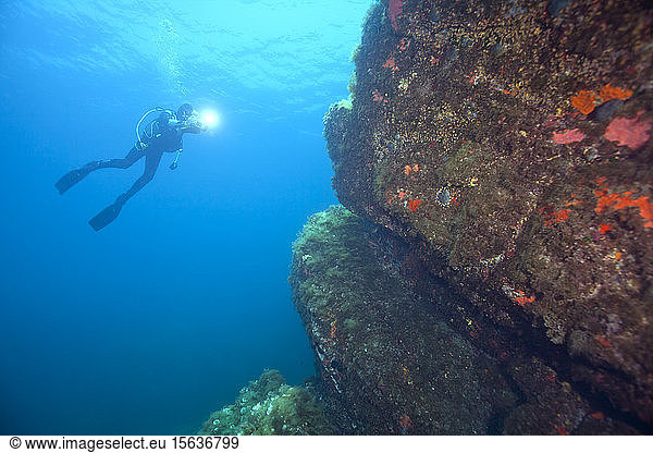 Frankreich  Korsika  Sagone  Unterwasseransicht eines Tauchers mit Taschenlampe