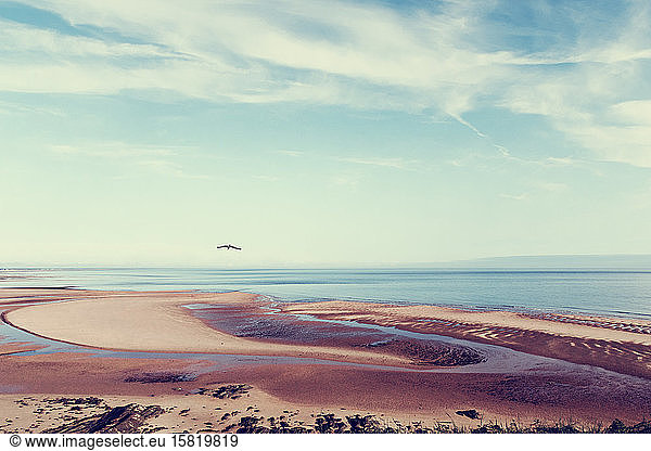 Frankreich  Normandie  Barneville-Carteret  Sandküstenstrand bei Ebbe