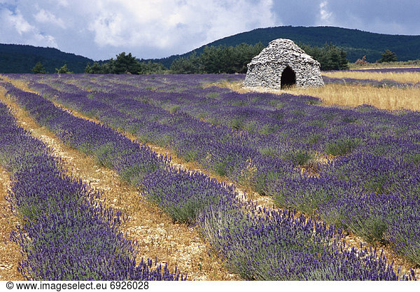 Frankreich  Provence - Alpes-Cote d Azur