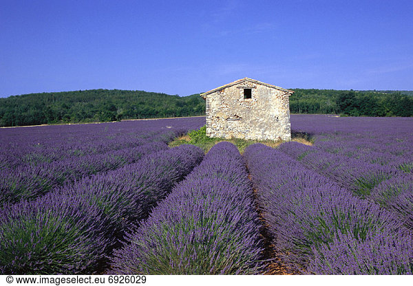 Frankreich  Provence - Alpes-Cote d Azur