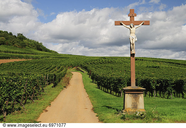 Frankreich  Statue  Jesus Christus  Christ  Elsass  Haut-Rhin  Kaysersberg  Weinberg