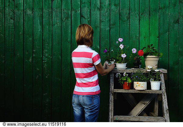 Frau arrangiert Blumentopf auf Gestell