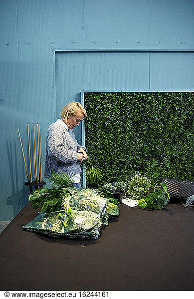 Frau arrangiert Pflanzen